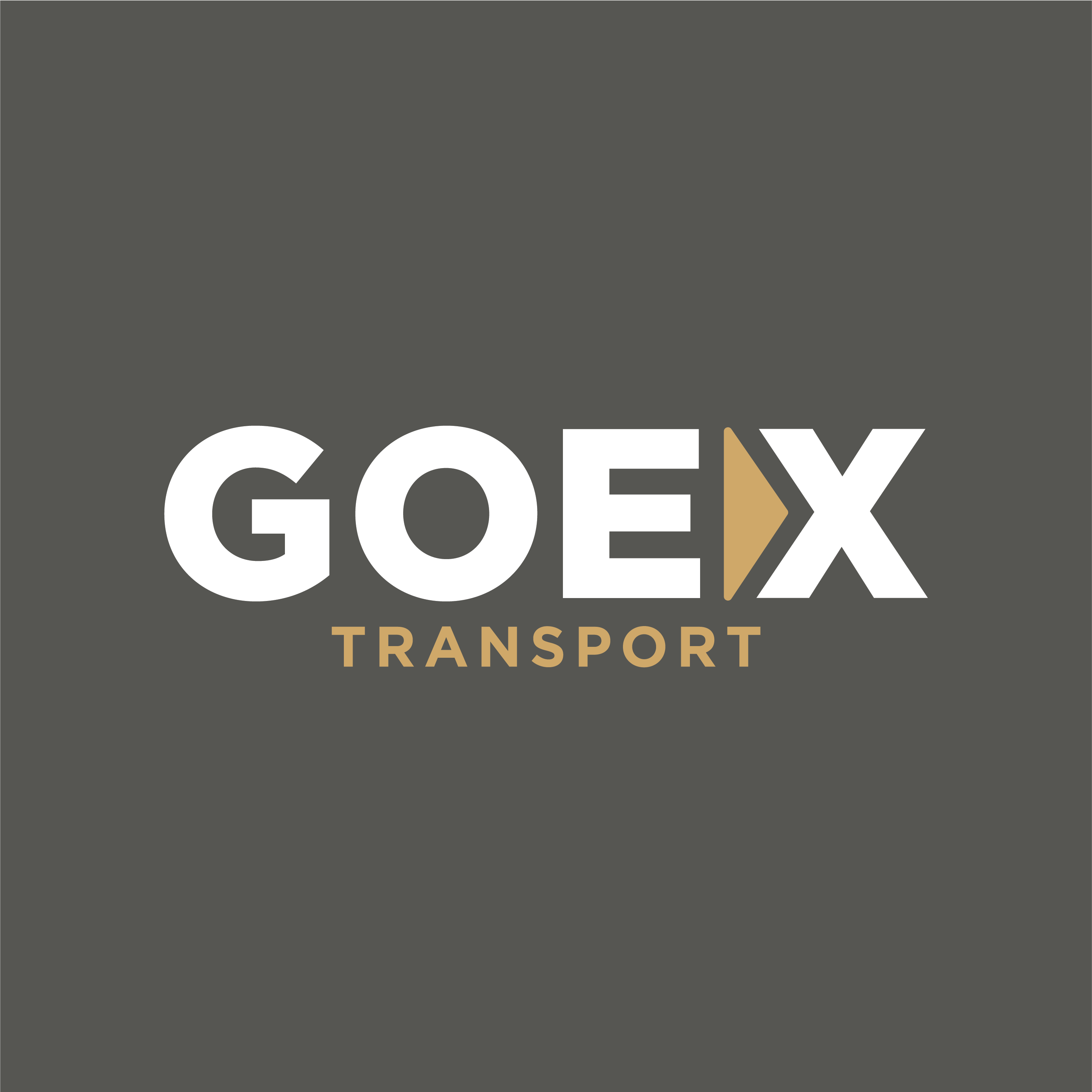 Goex Express Hiring for Internal Accountant at GOEX TRANSPORT | Jobbags.com